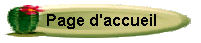Bouton_cactus3-2.gif (3702 octets)