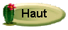 Bouton_cactus4.gif (2529 octets)
