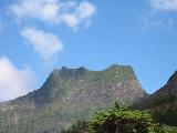 Yunque5.JPG (3931 octets)